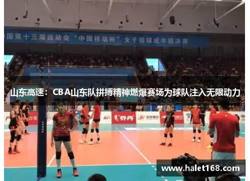 山东高速：CBA山东队拼搏精神燃爆赛场为球队注入无限动力