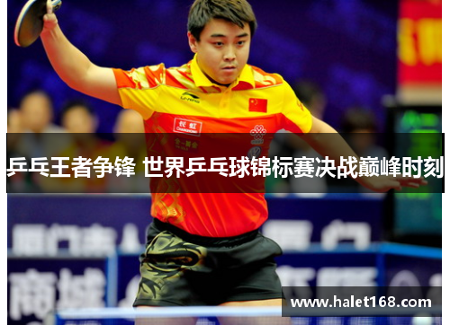 乒乓王者争锋 世界乒乓球锦标赛决战巅峰时刻