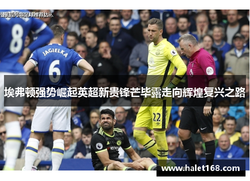 埃弗顿强势崛起英超新贵锋芒毕露走向辉煌复兴之路